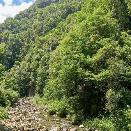 1 Bedroom Stunning In Holiday home Palagnana